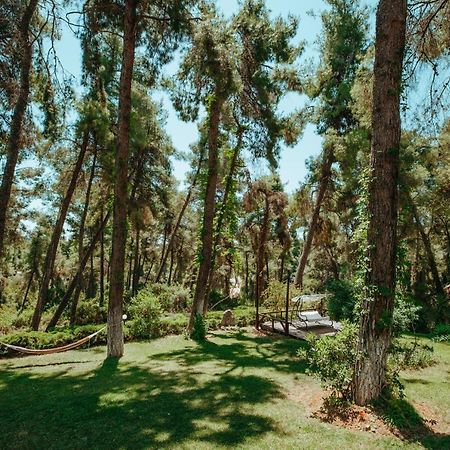 Beautiful Summerhouse In Sani'S Pine Forest Сани-Бич Экстерьер фото