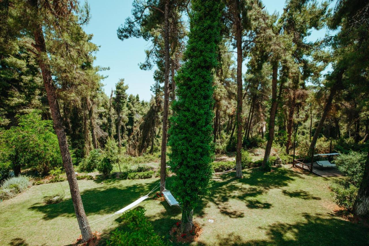 Beautiful Summerhouse In Sani'S Pine Forest Сани-Бич Экстерьер фото