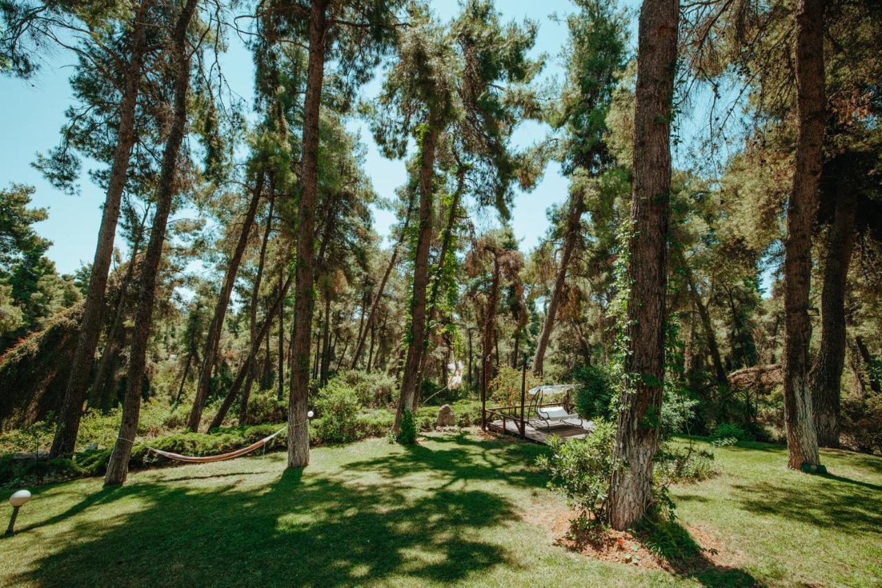 Beautiful Summerhouse In Sani'S Pine Forest Сани-Бич Экстерьер фото